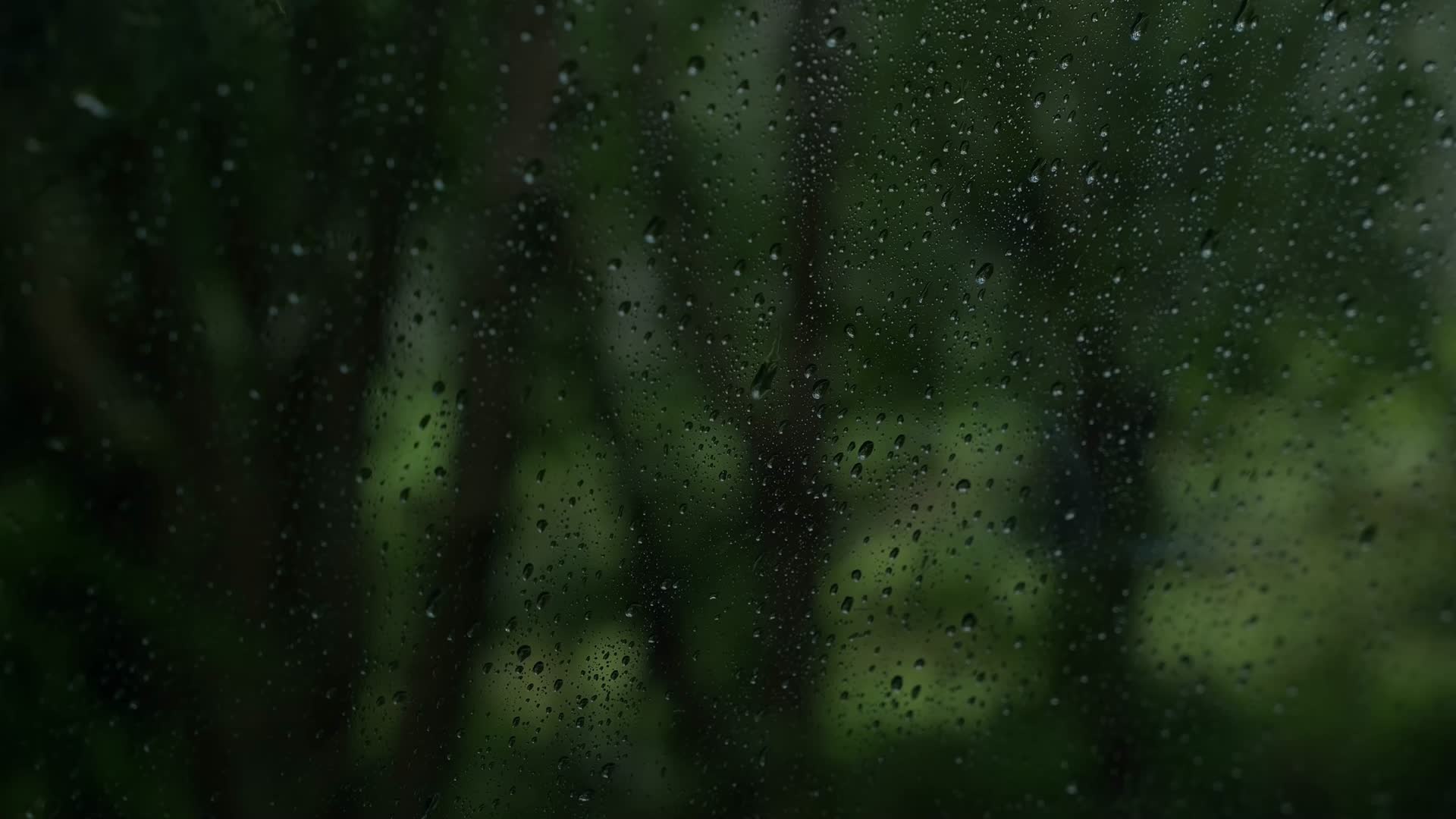 雨水滴落在窗户玻璃上视频的预览图