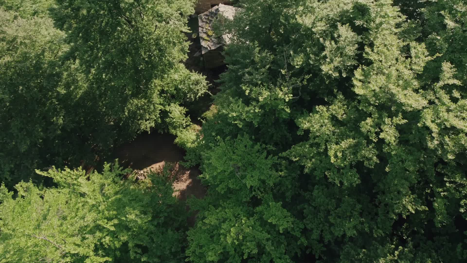 森林树木群山村庄小屋航拍视频的预览图