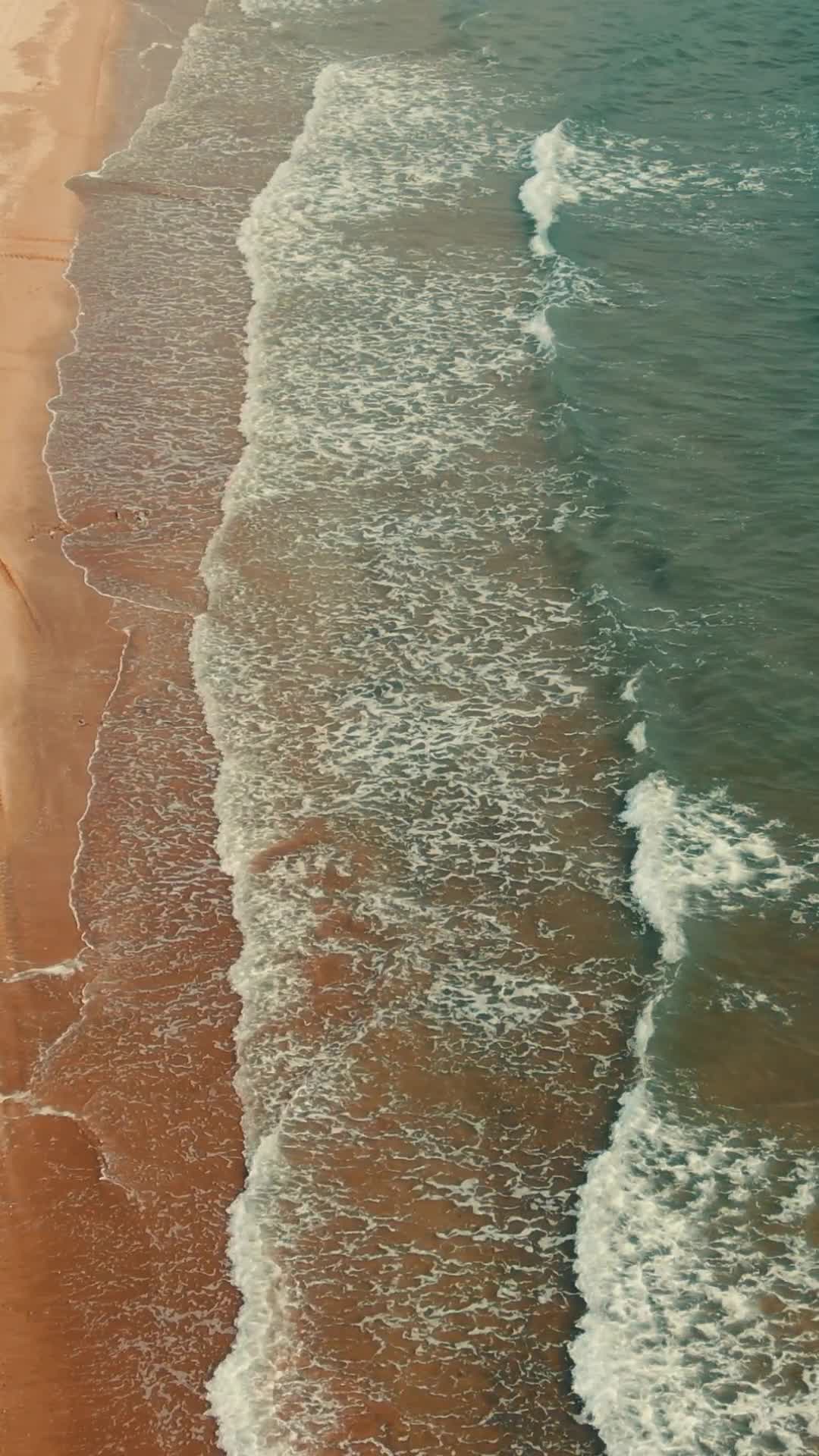 航拍大海海浪沙滩海洋视频的预览图