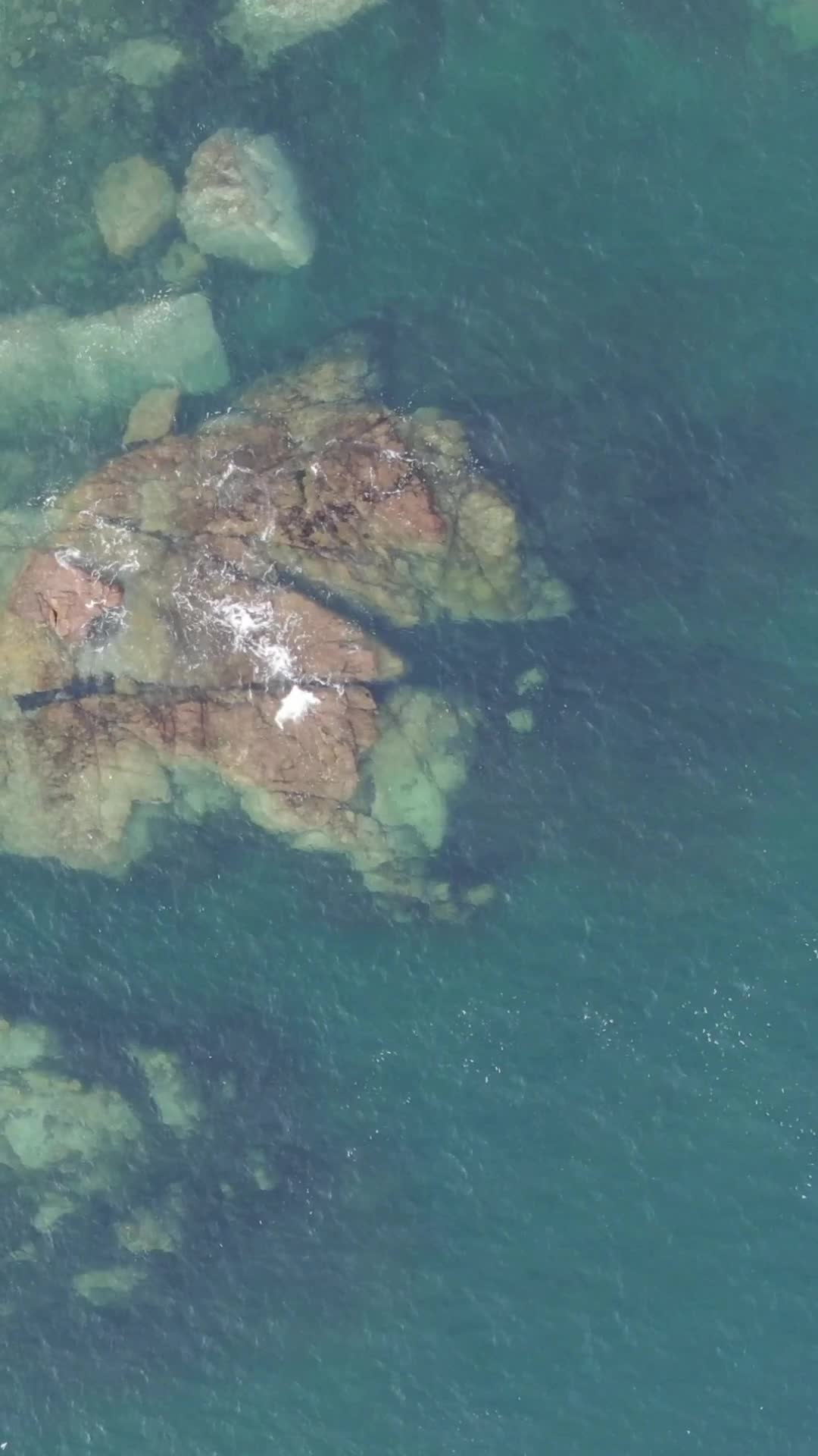俯拍蓝色海洋礁石海浪视频的预览图