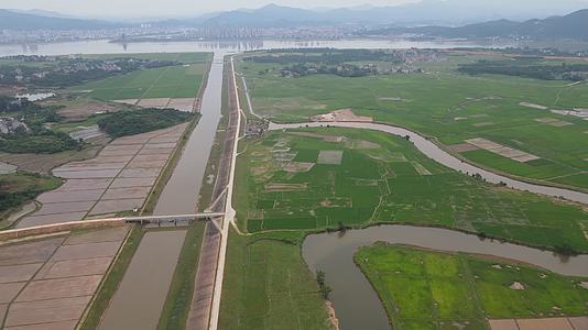 4K航拍平原杂交水稻种植基地视频的预览图