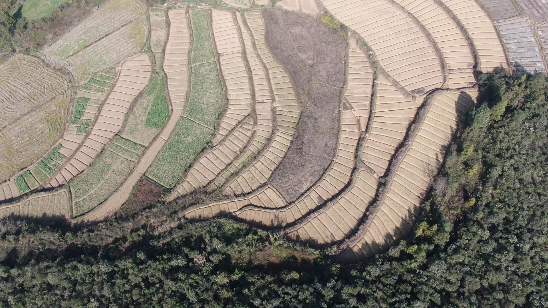 俯拍春耕农田农业种植视频的预览图