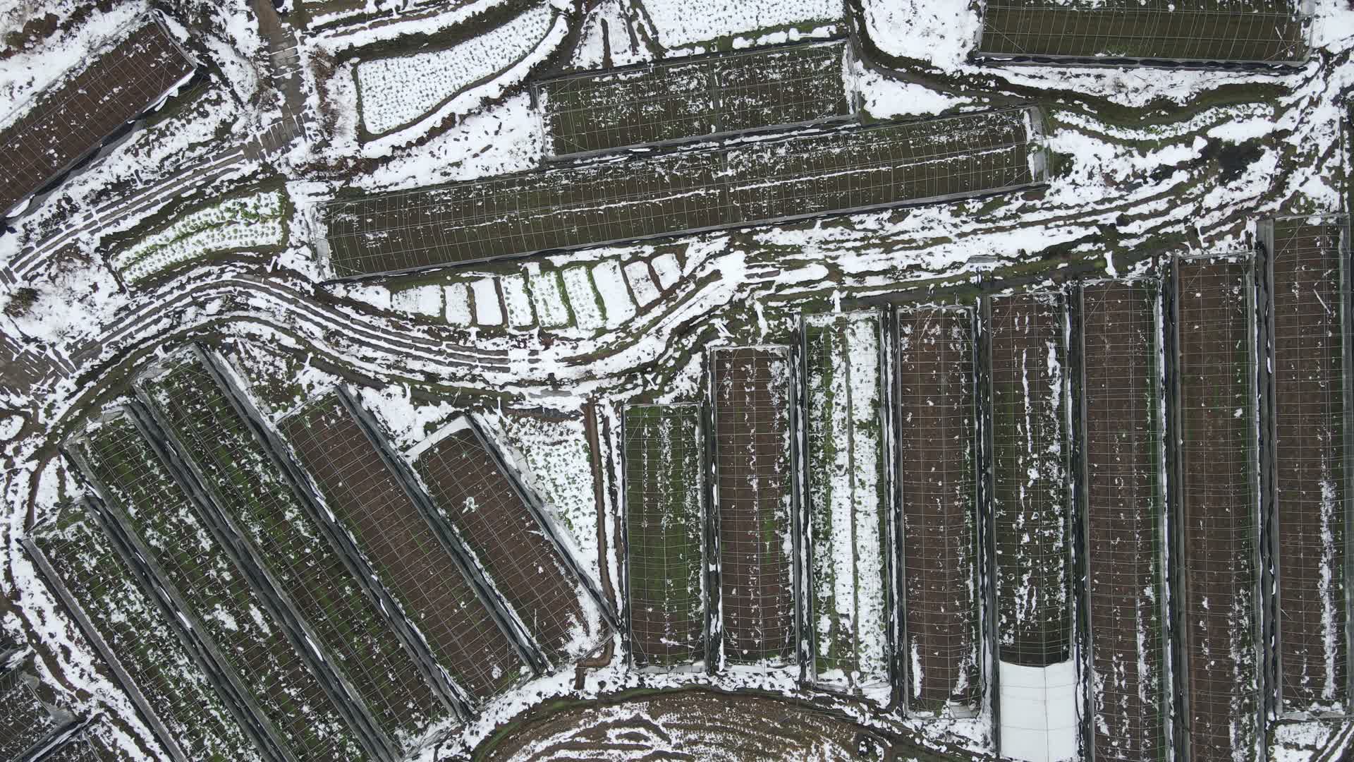 俯拍农业大棚冬天雪景视频的预览图
