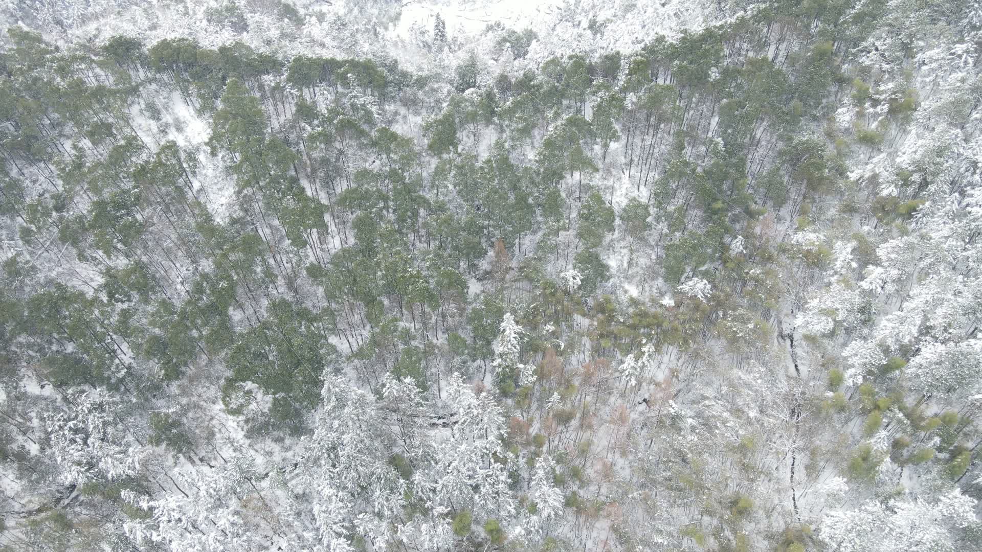 旅游景区航拍怀化黄岩冬天森林雪景视频的预览图