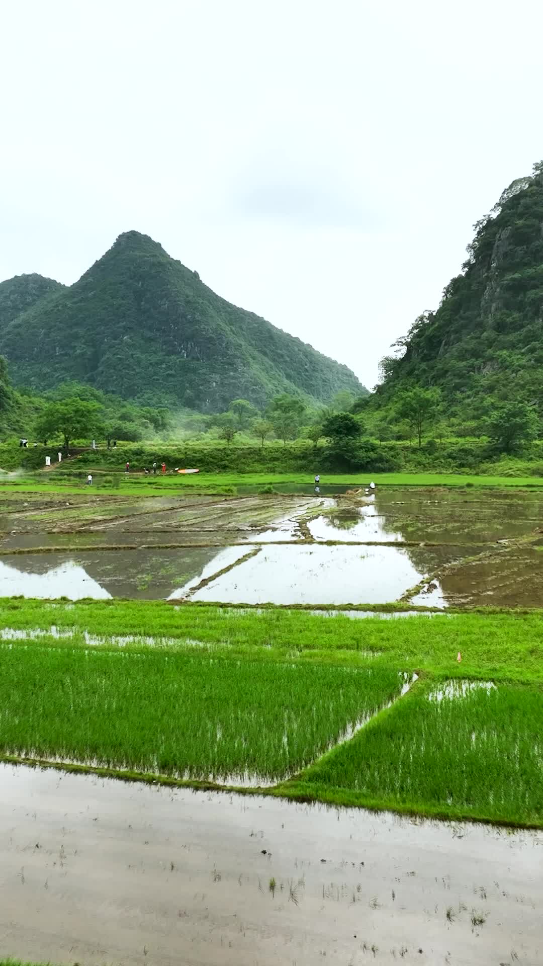 航拍桂林田园风光视频的预览图