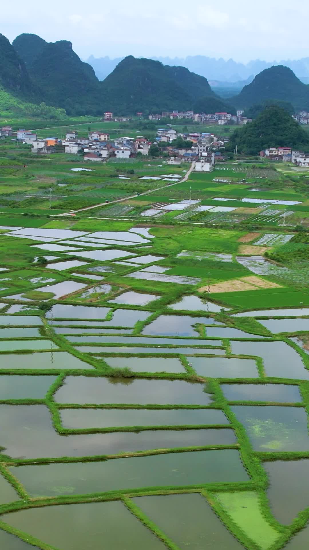 航拍桂林田园风光视频的预览图