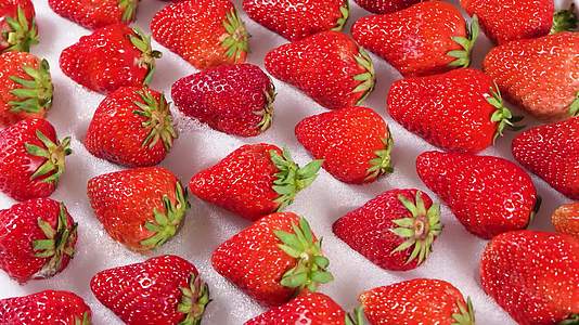 新鲜丹东草莓高清实拍视频
4k视频视频的预览图