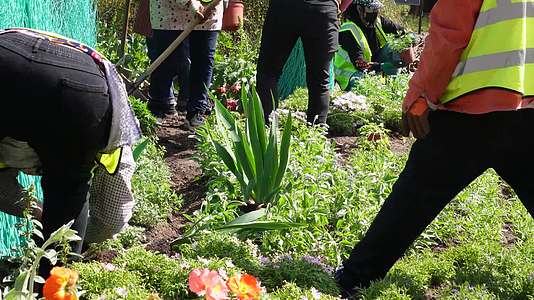 园丁环卫工人种花栽花绿化视频的预览图
