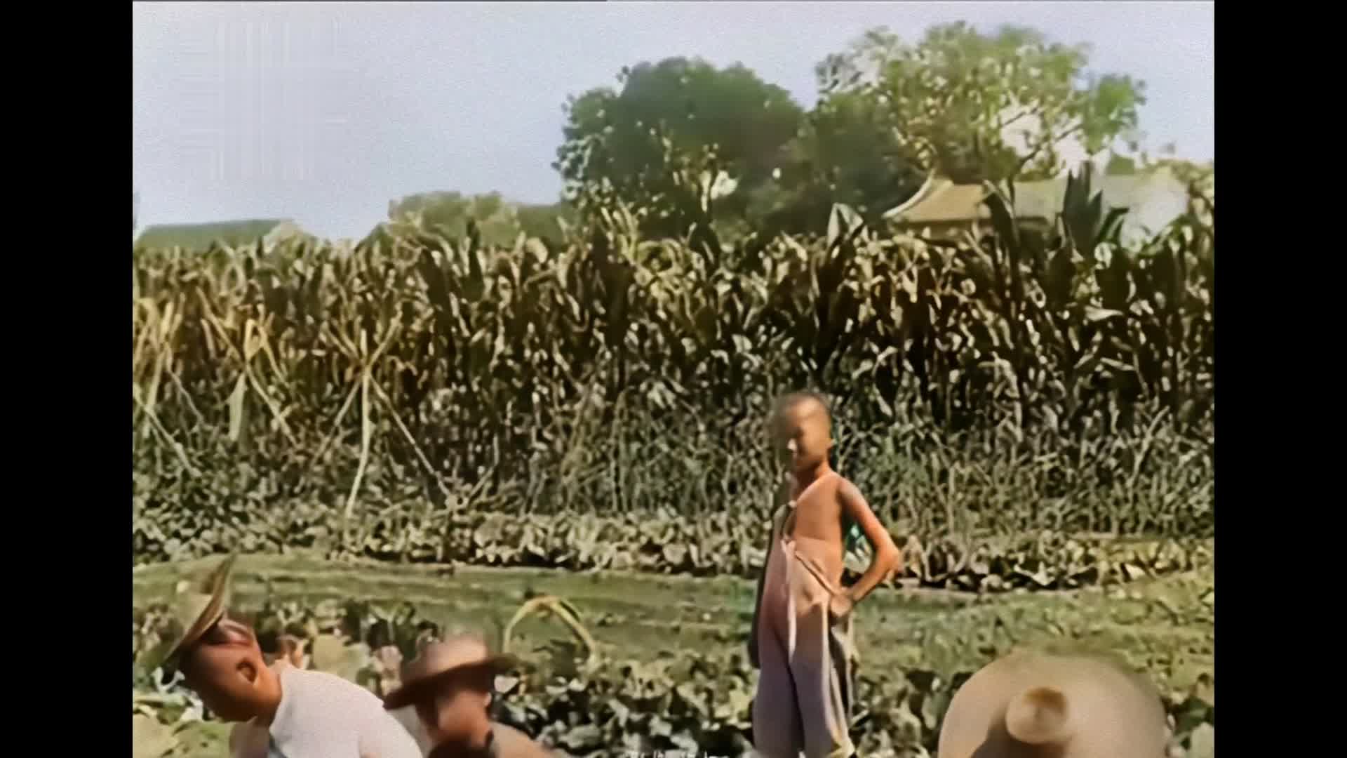 1900年清朝珍贵影像劳动人民在田间劳作的场景视频的预览图