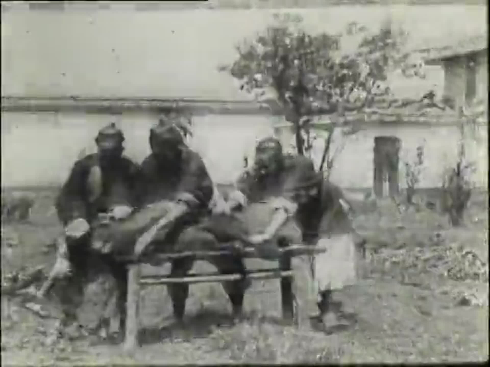 1902光绪二十八年的中国百姓生活杀猪吃饭打架耍猴视频的预览图
