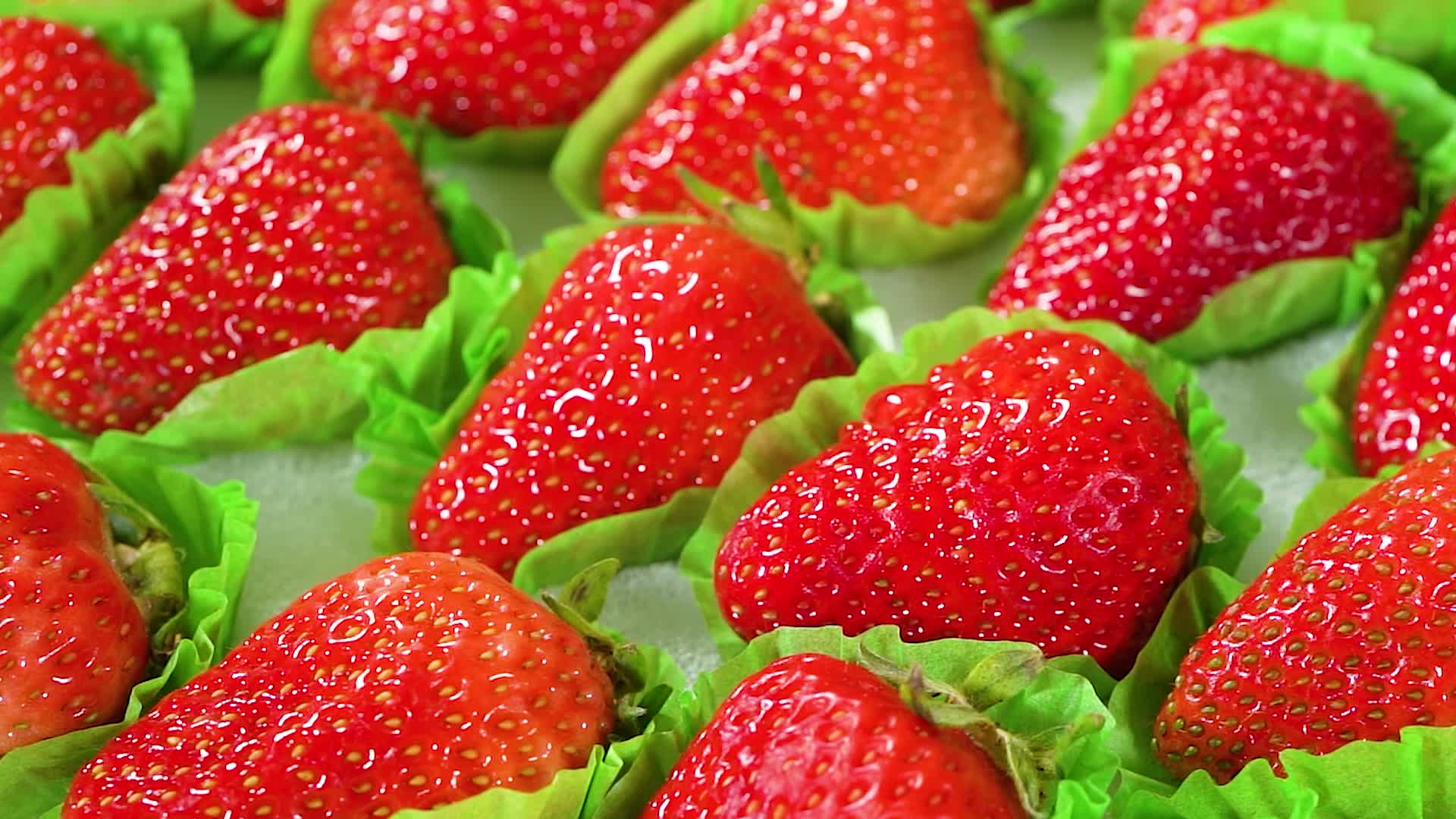 创意镜头水滴草莓新鲜水果4K实拍特写电商视频
直播带货
实拍视频
高清实拍视频
4k视频
视频的预览图