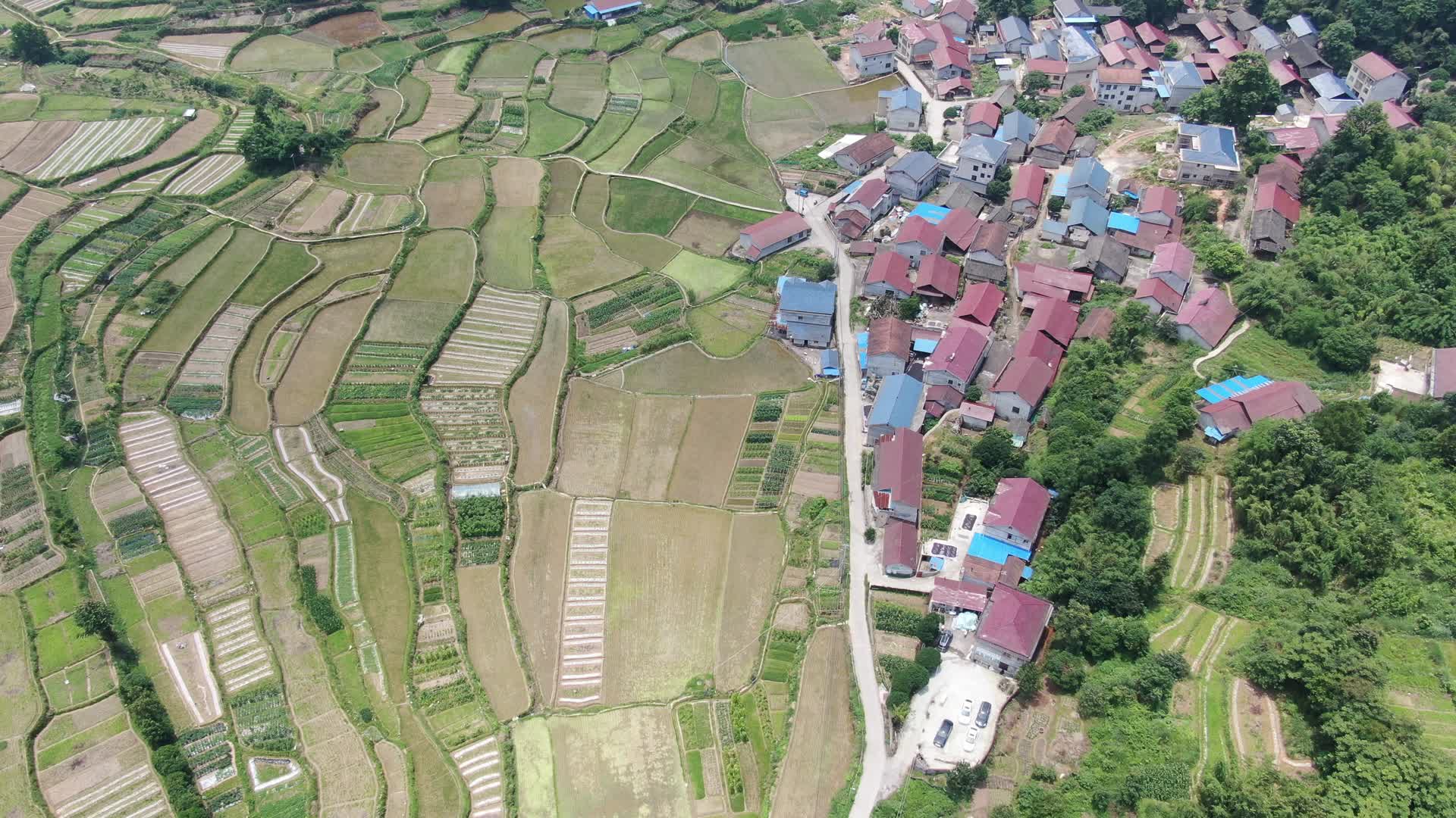 美丽乡村田园农业种植航拍视频的预览图