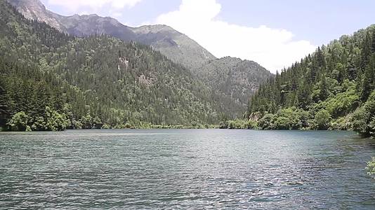 平静湖水森林自然风光空镜视频的预览图