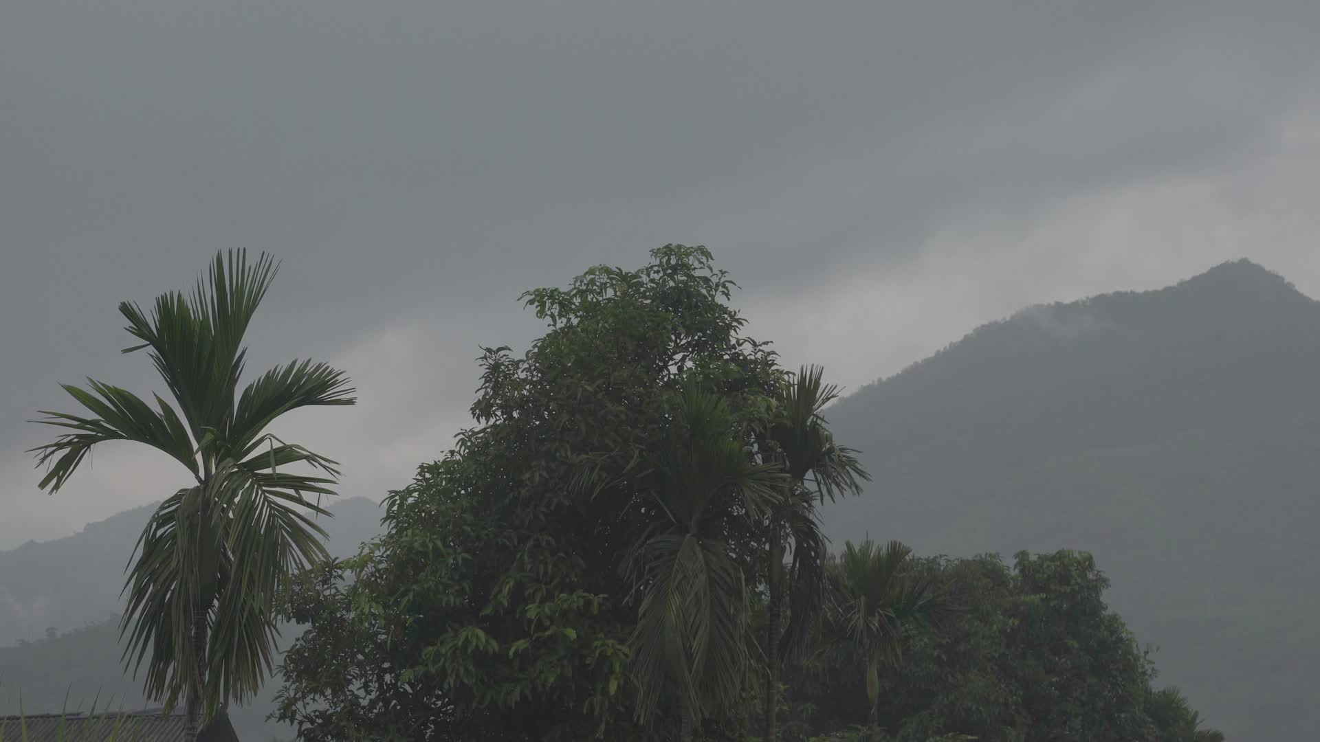 大山里早晨雾霭空镜4k视频的预览图