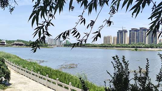 8K信阳浉河河畔风景视频的预览图