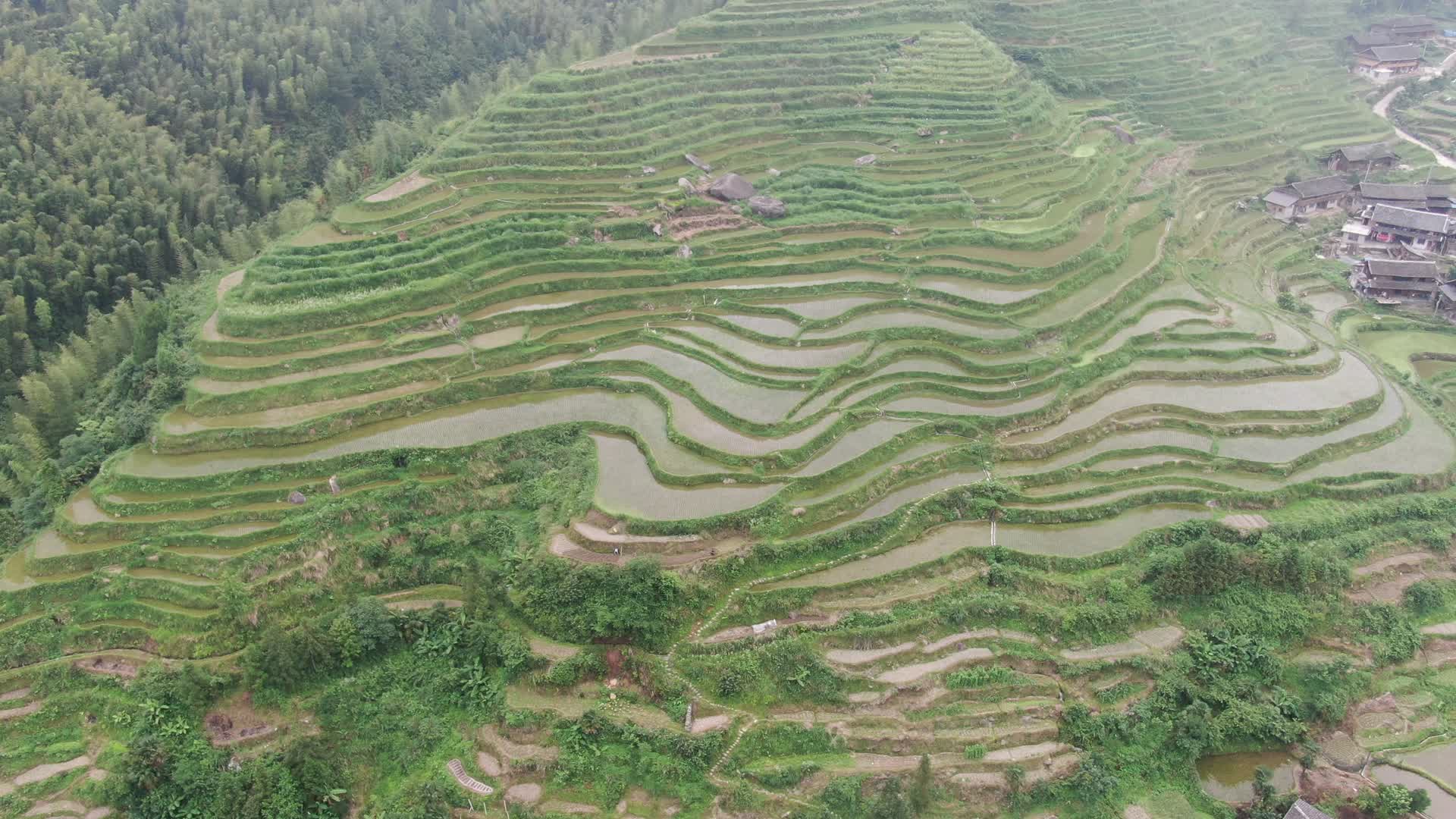 旅游景区梯田农业种植航拍视频的预览图