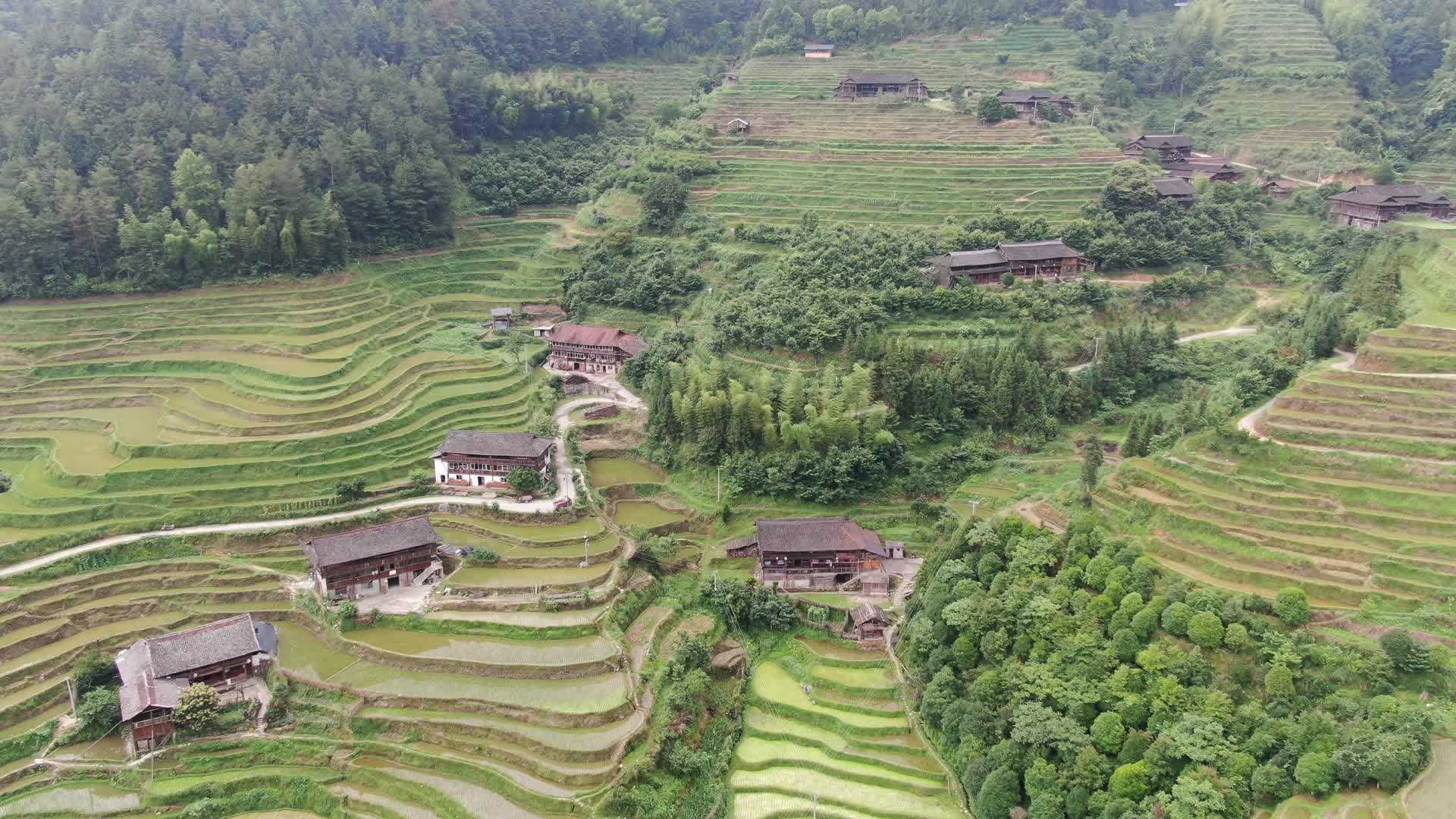 旅游景区梯田农业种植航拍视频的预览图