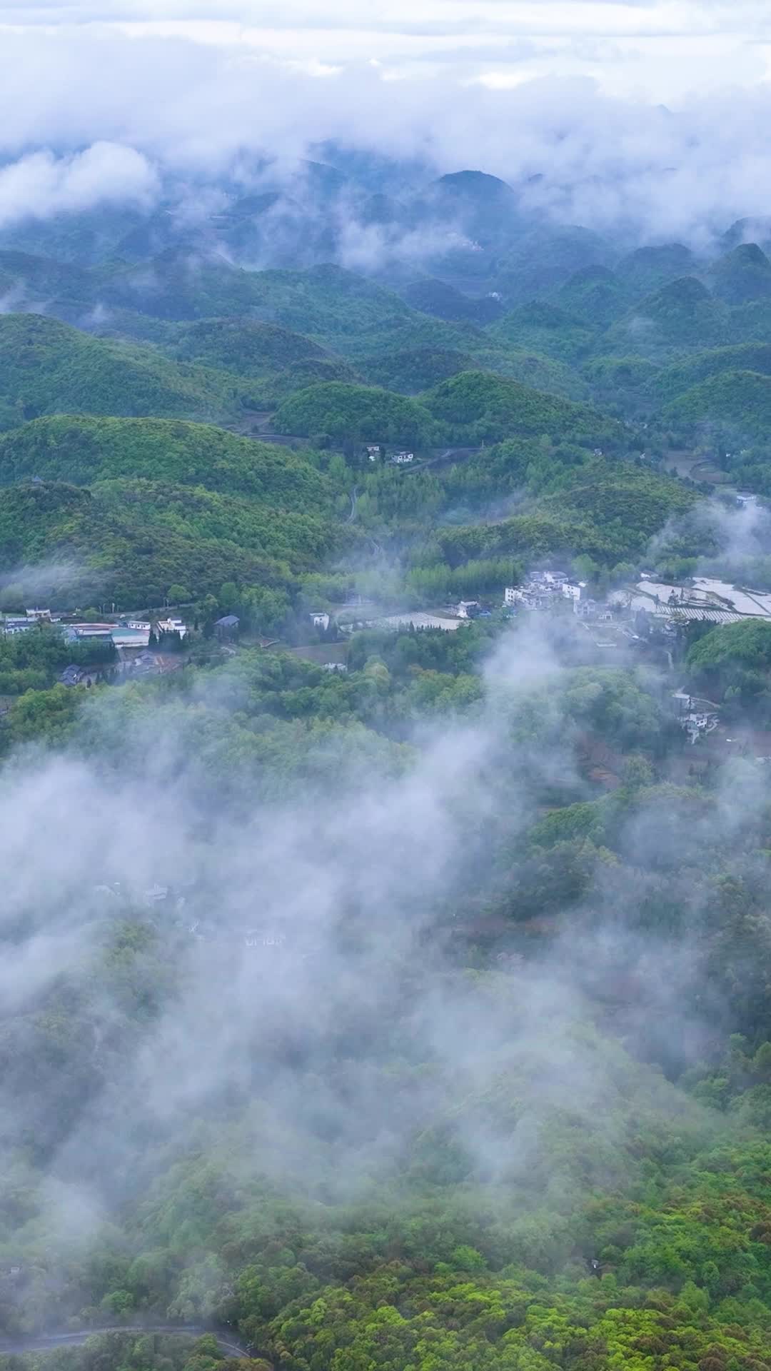 竖屏航拍贵州百里杜鹃普底景区云雾缭绕视频的预览图