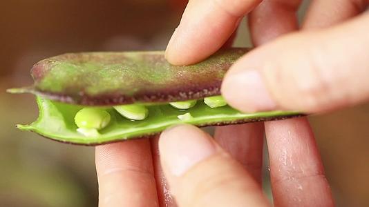 紫扁豆新鲜食材视频展示视频的预览图