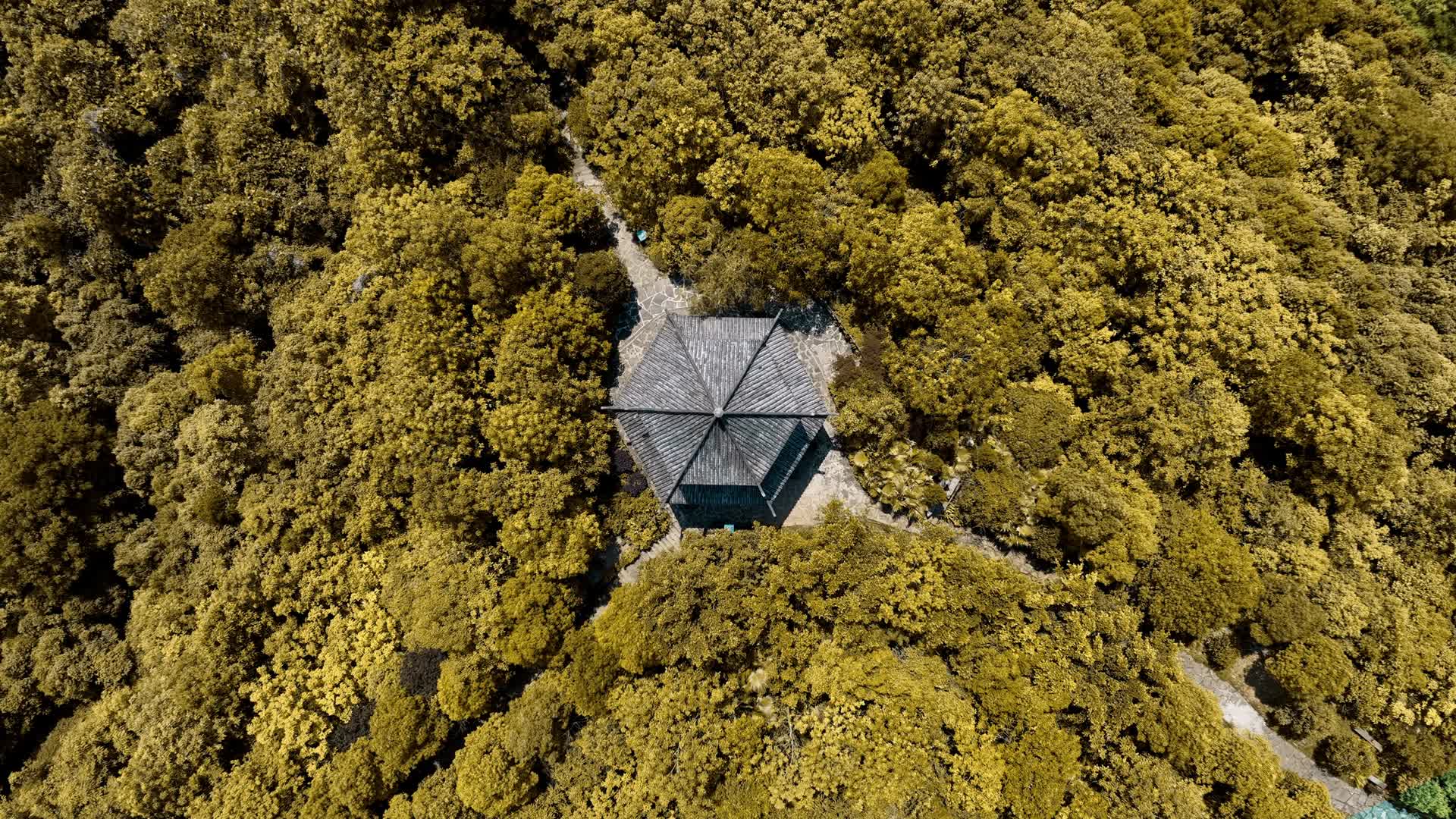 重庆长寿湖寿字景区高空航拍视频的预览图