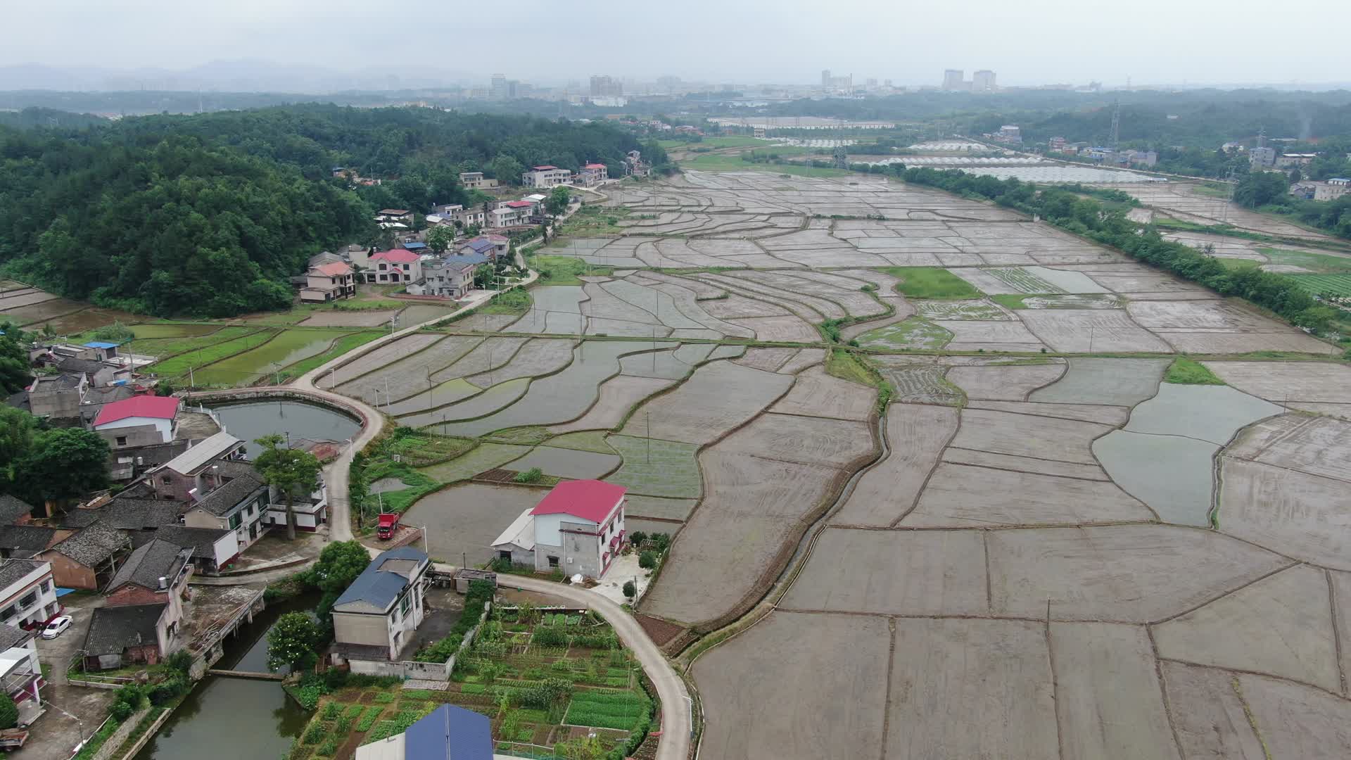 春耕播种水稻农田航拍视频的预览图