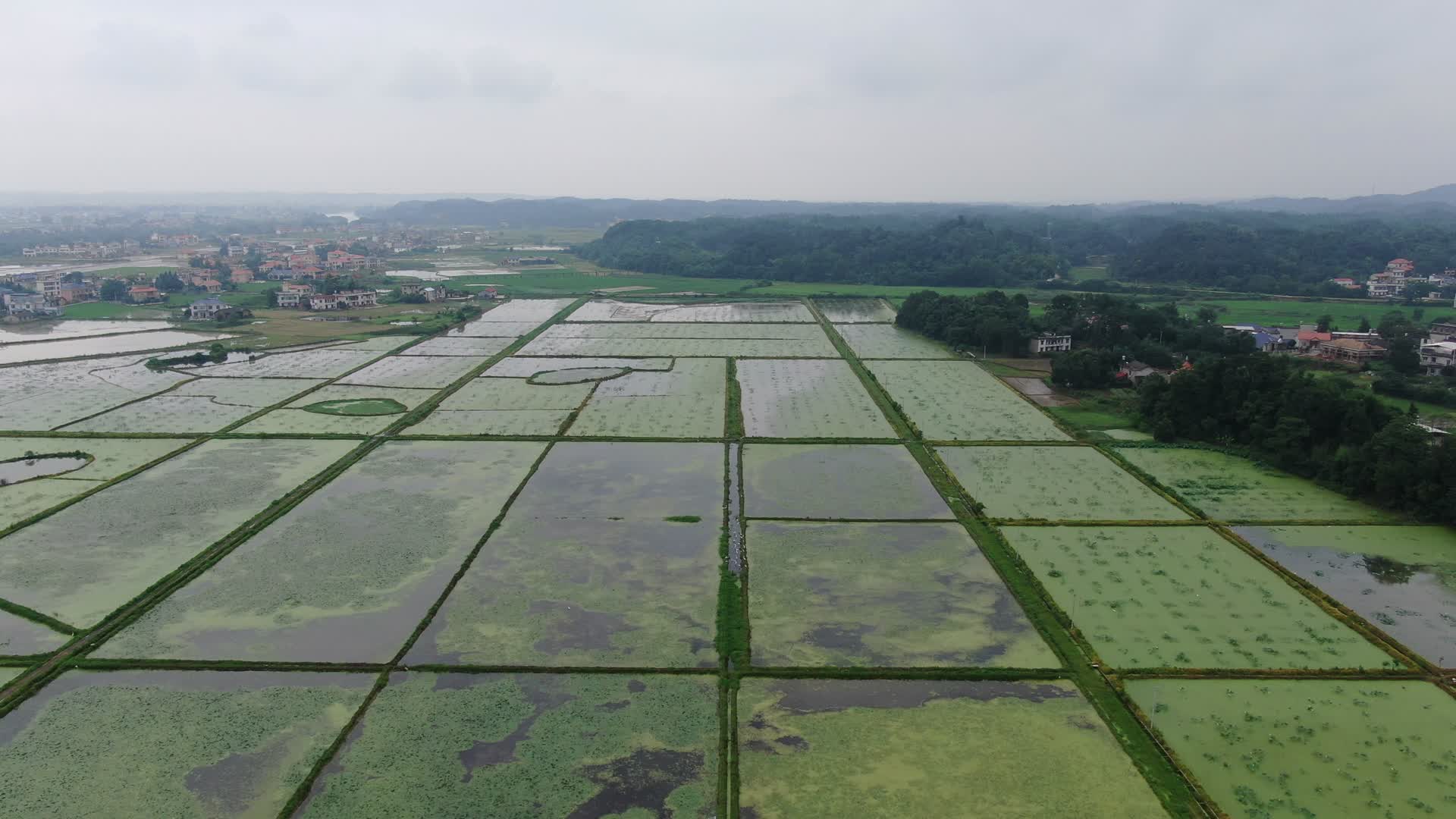 春耕播种水稻农田航拍视频的预览图