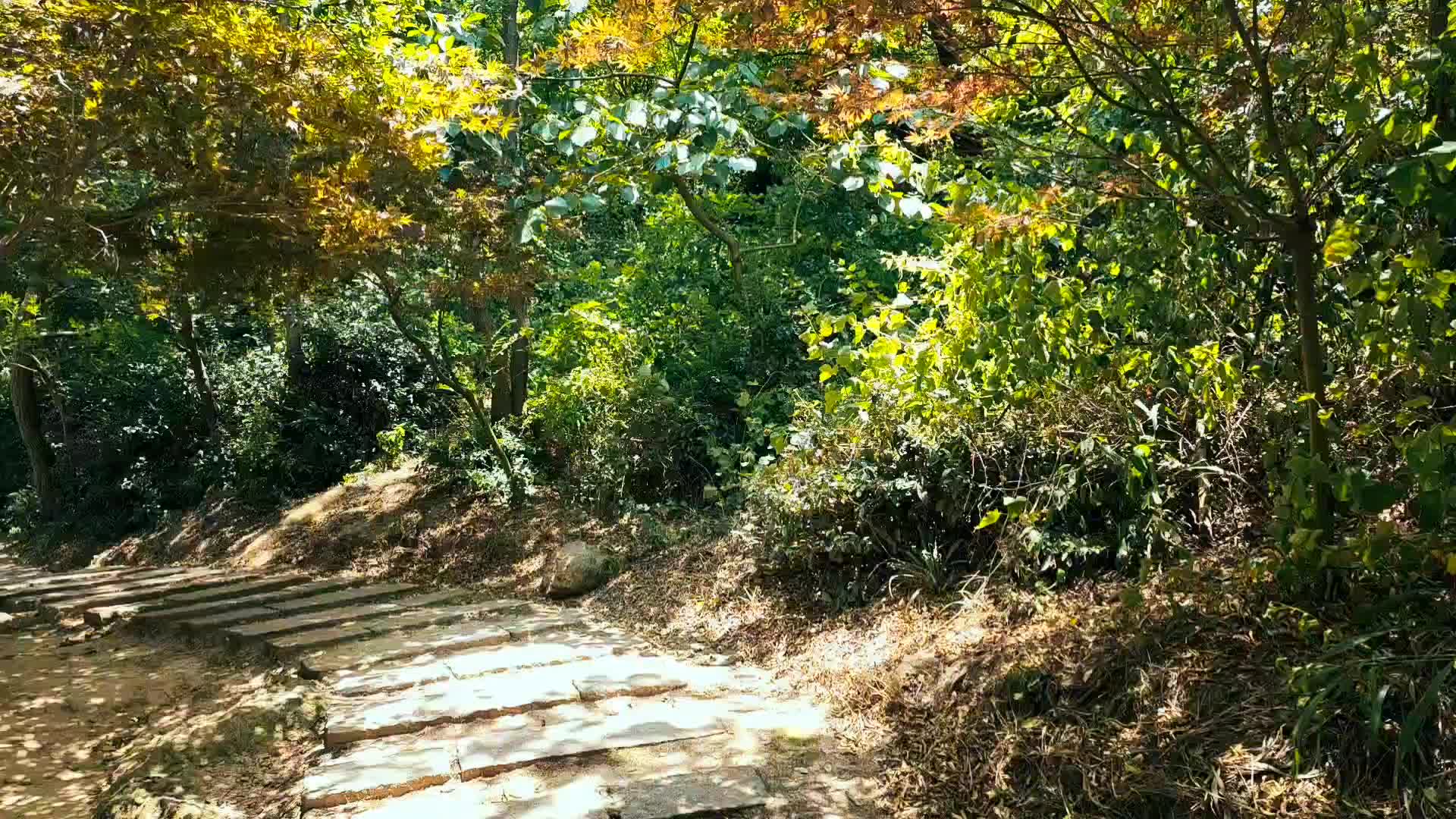 寂静山阴石头路视频的预览图