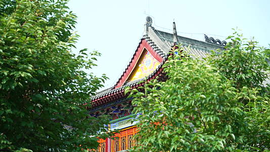 武汉首义公园龙华寺古建筑视频的预览图