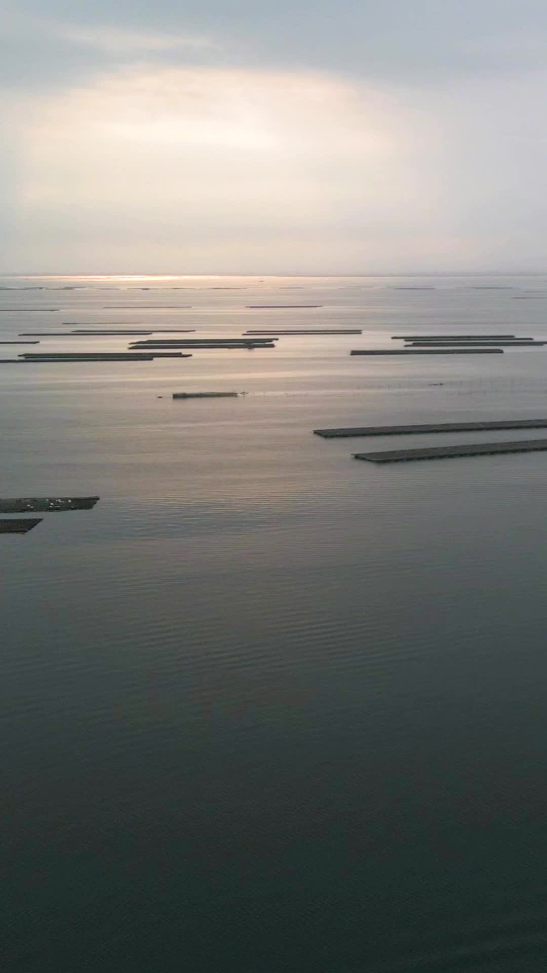 竖屏航拍海上养殖场视频的预览图