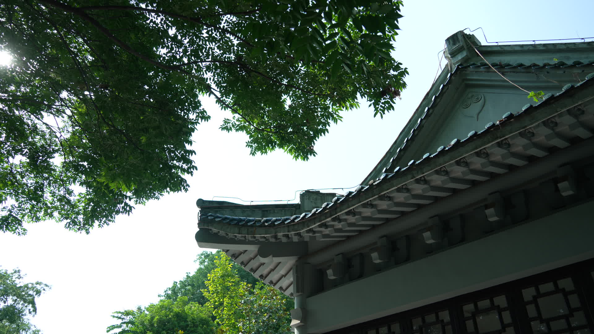 武汉首义公园蛇山烈士祠视频的预览图