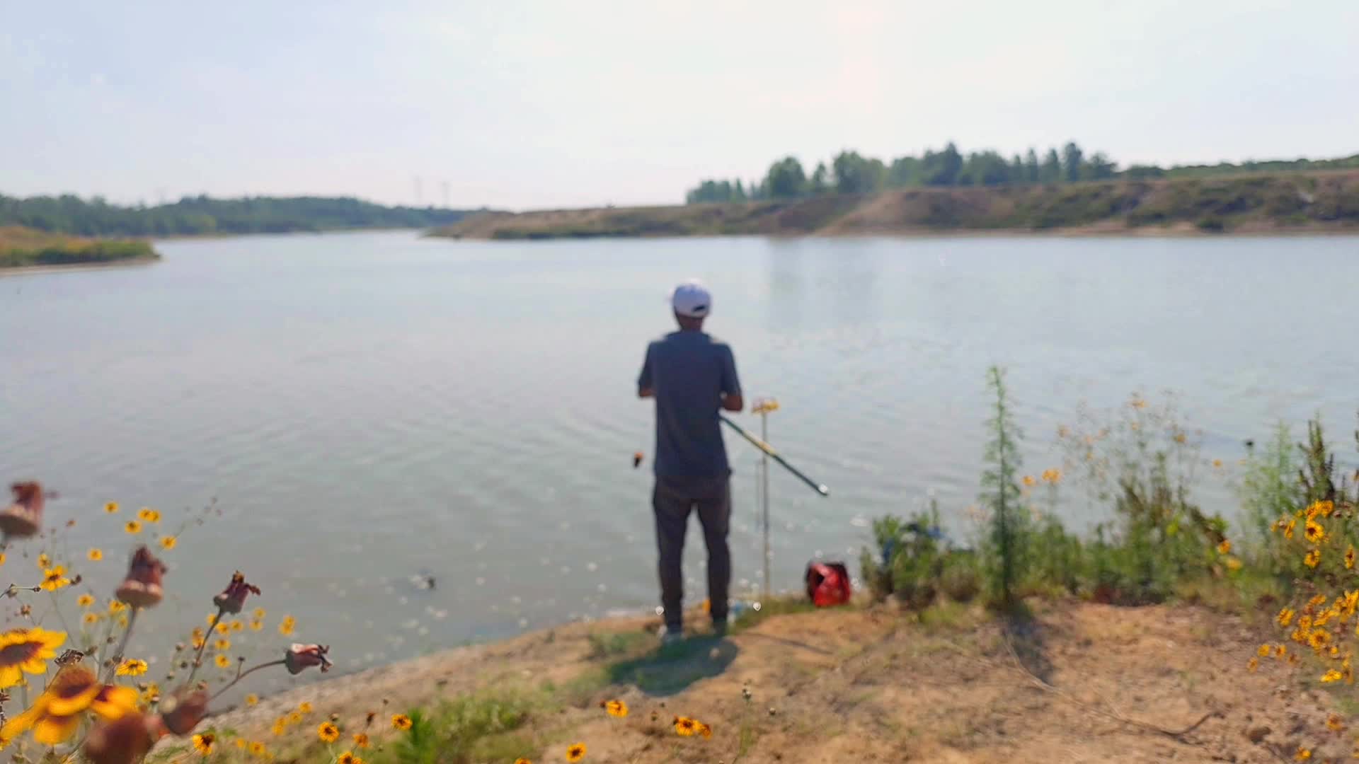 夏季野外钓鱼人视频的预览图