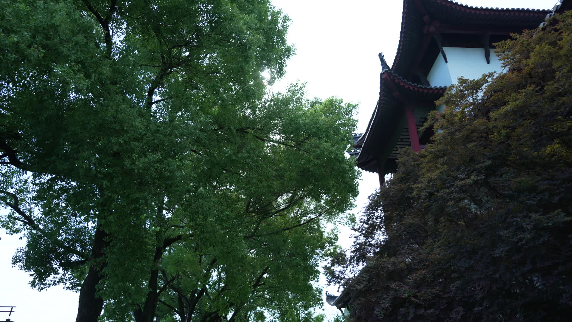 武汉黄鹤楼公园风景视频的预览图
