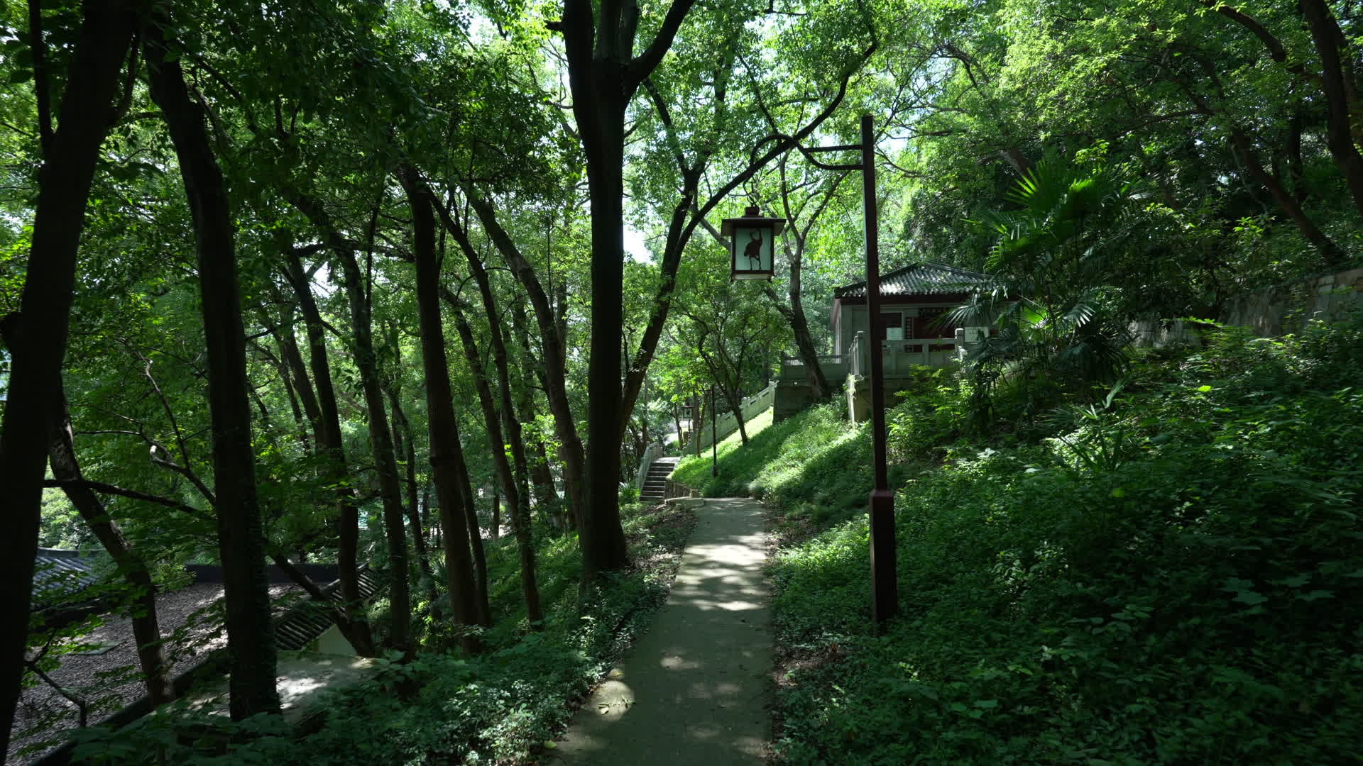 武汉首义公园卢立群旧居视频的预览图