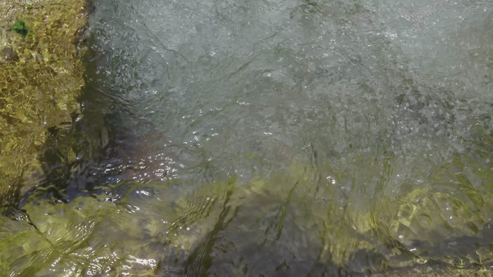 清澈的山泉水视频的预览图