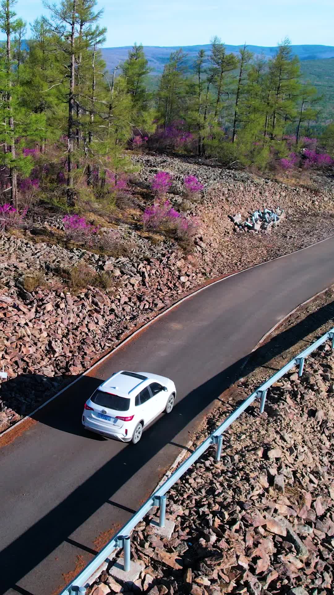 竖屏航拍内蒙阿尔山汽车跟随视频的预览图