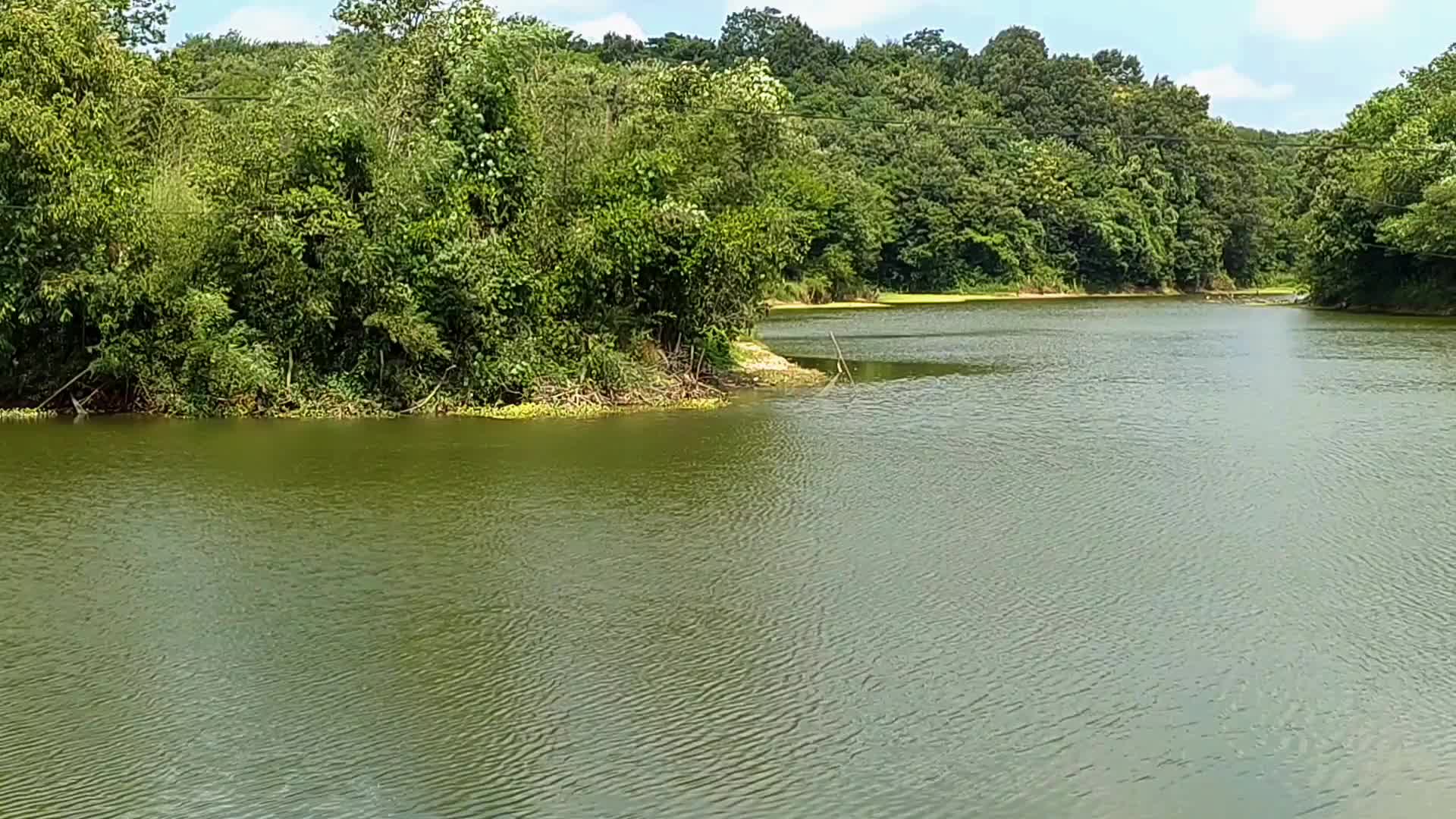 南阳湖风景视频的预览图
