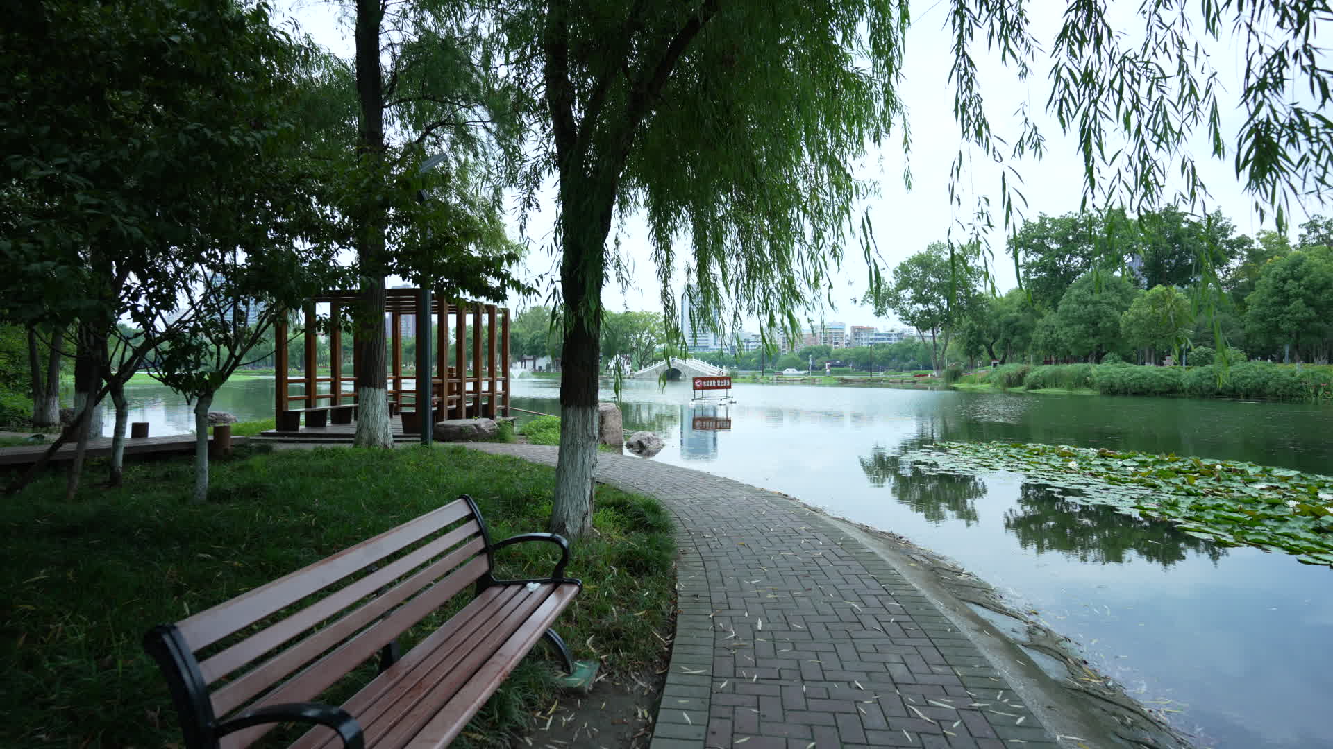 武汉紫阳公园桃花岛视频的预览图
