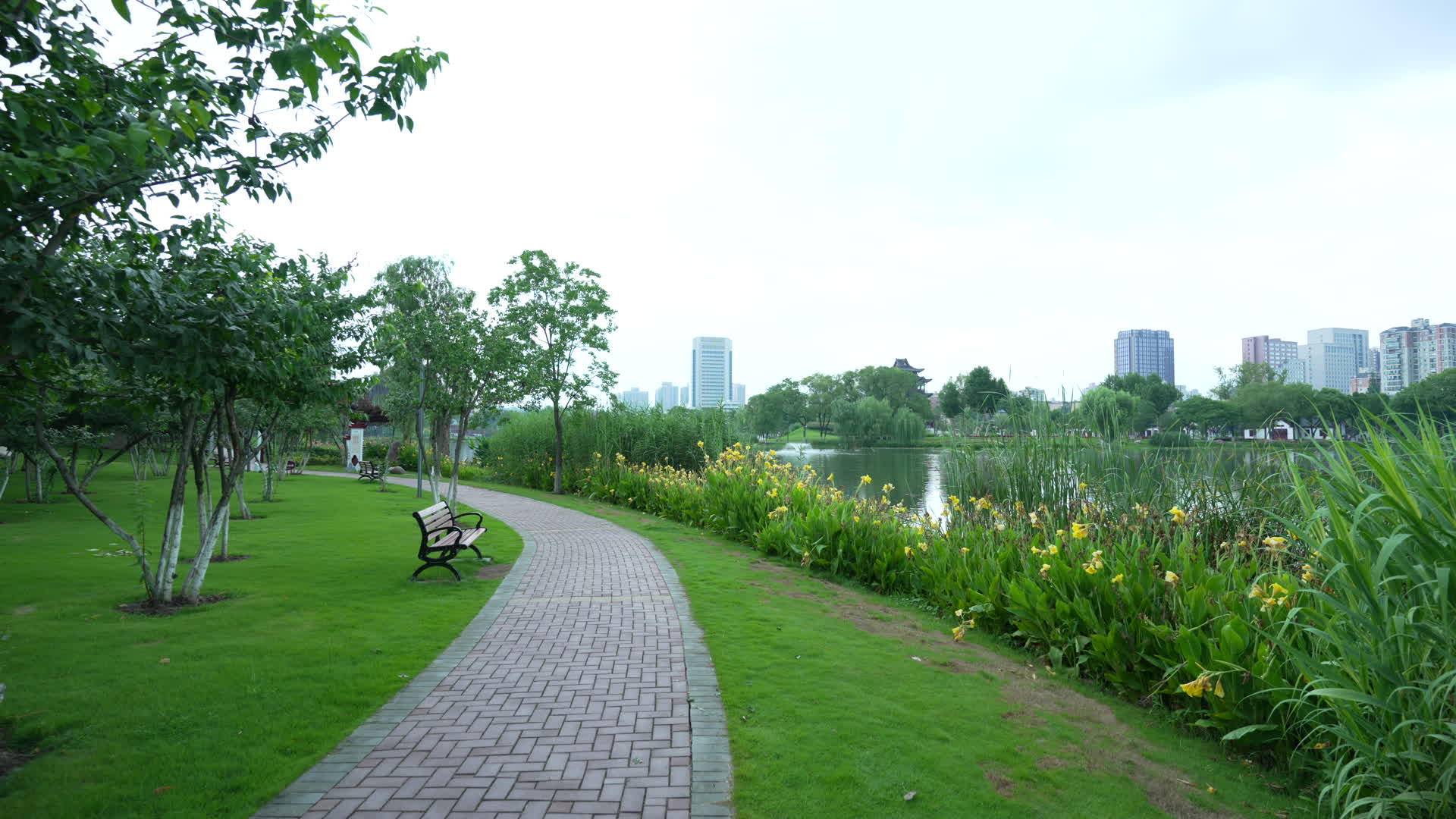 武汉武昌区紫阳公园视频的预览图