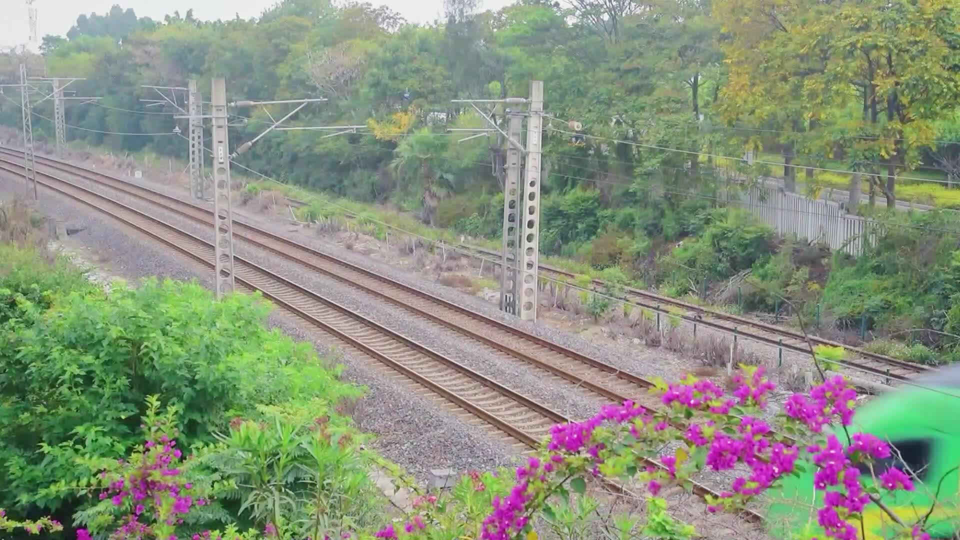 高铁动车行驶飞驰视频的预览图