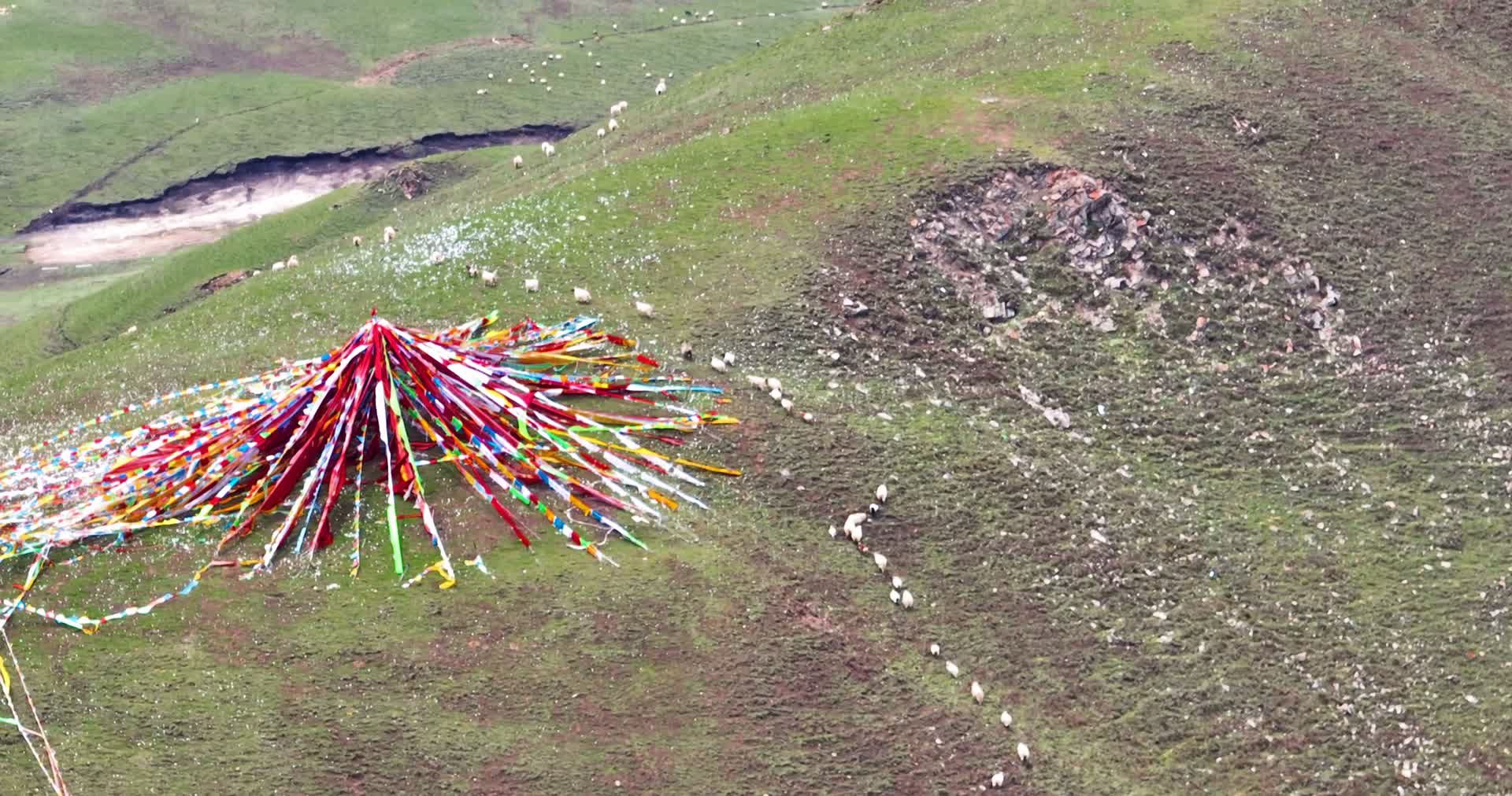 长焦航拍青海草原羊群4K御3视频的预览图