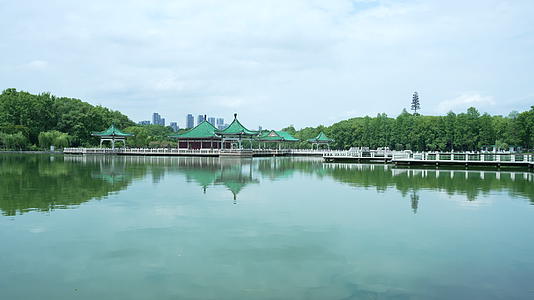 武汉东湖旅游风景区濒湖画廊视频的预览图