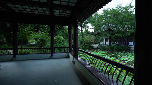 武汉东湖风景区湖北书画院视频的预览图