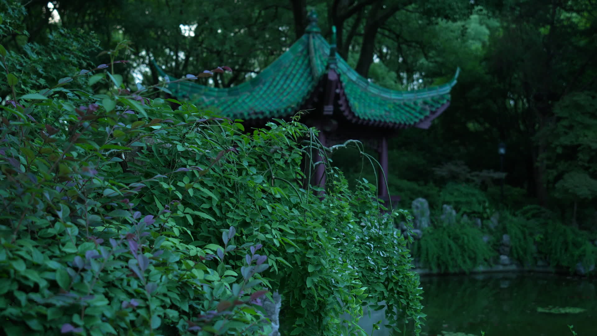 武汉东湖风景区可竹轩视频的预览图