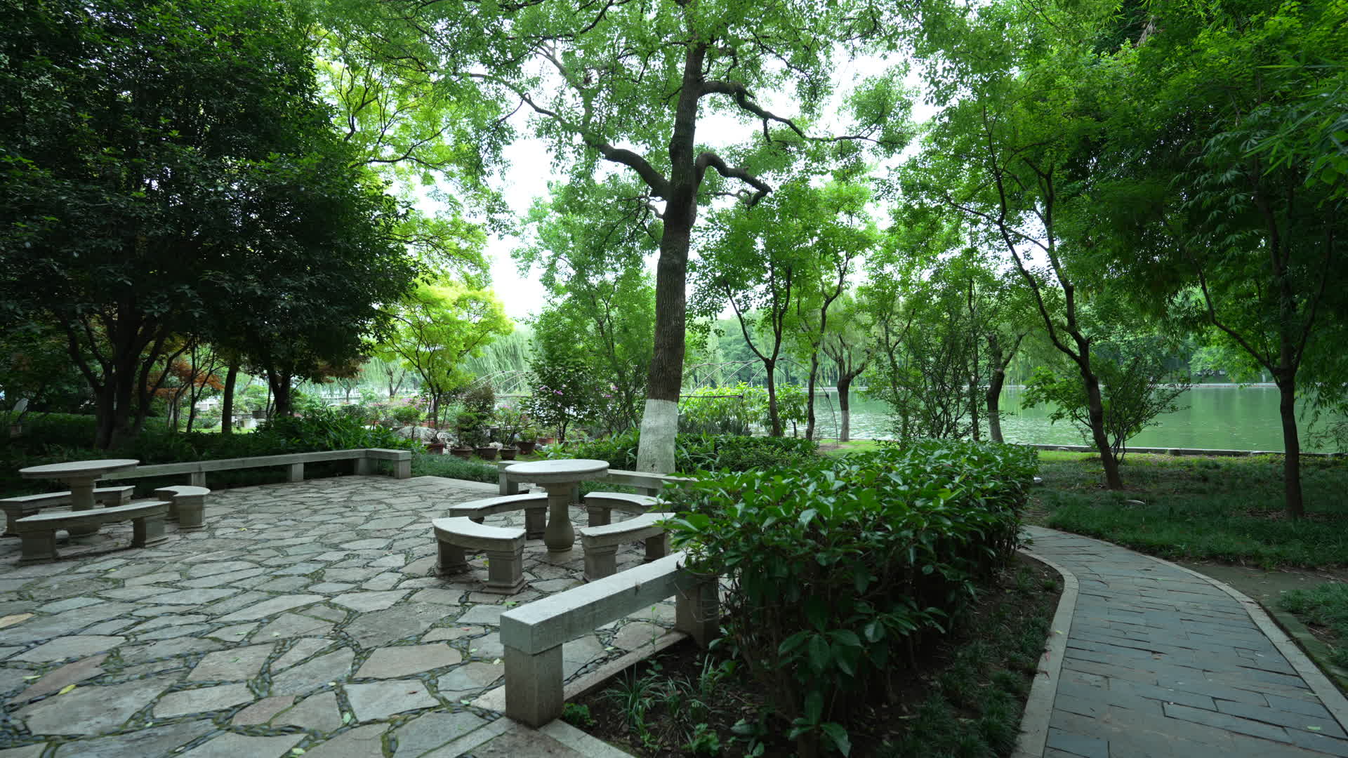 武汉东湖风景区梨园视频的预览图