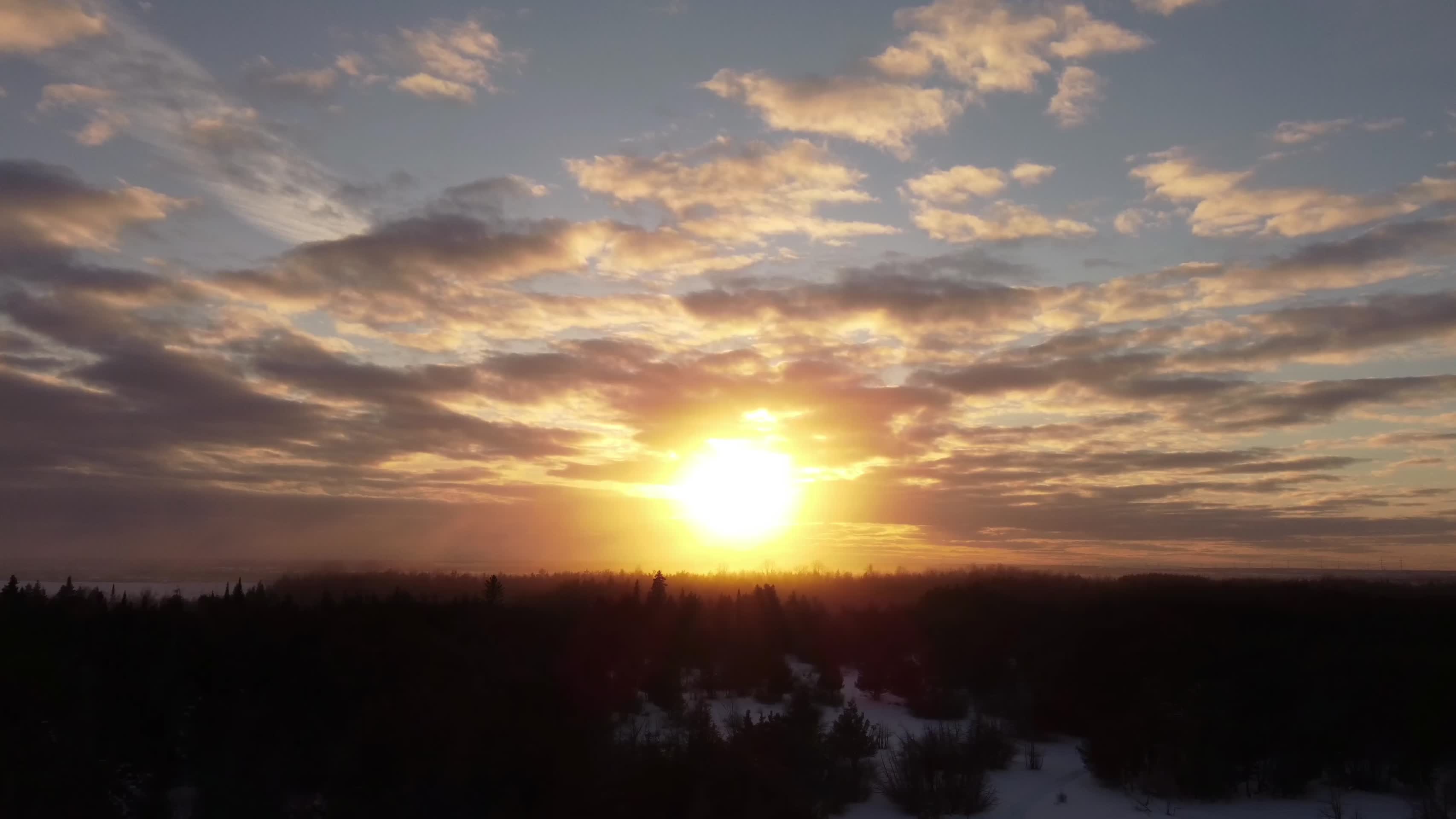 冬季森林清晨唯美日出航拍视频的预览图