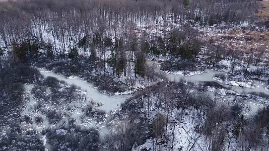 冬季兴安岭森林枯木池塘结冰视频的预览图
