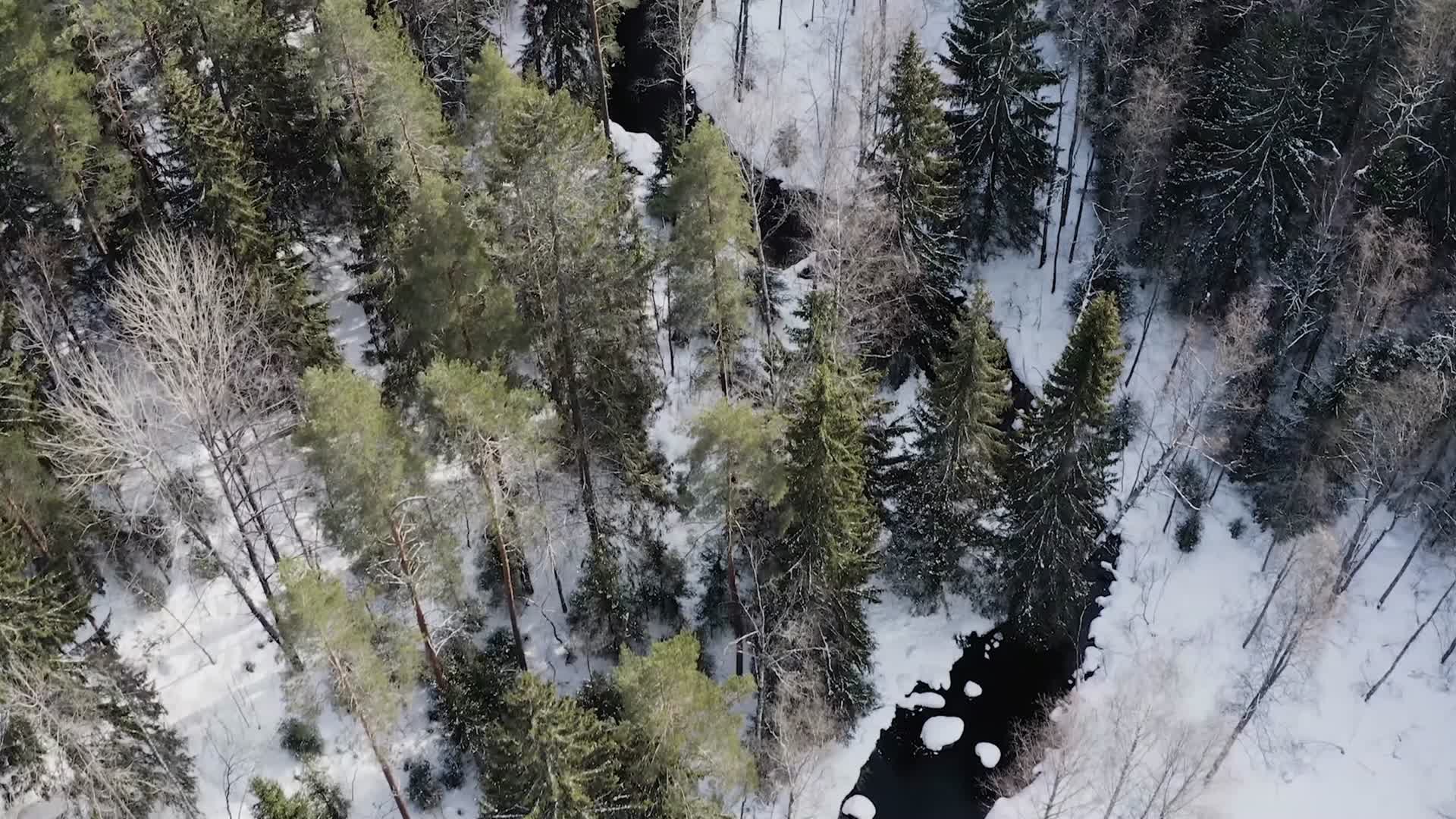 冬末春初森林河流雪水融化航拍视频的预览图