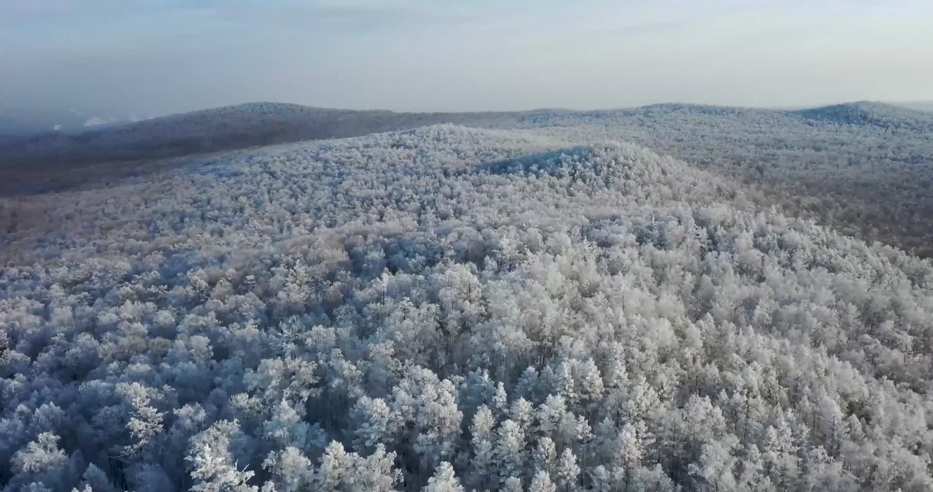 森林雾凇冰天雪地航拍唯美意境视频的预览图