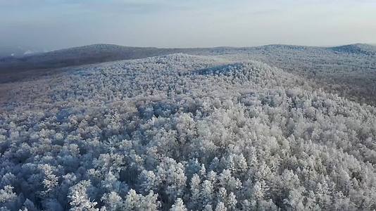 森林雾凇冰天雪地航拍唯美意境视频的预览图