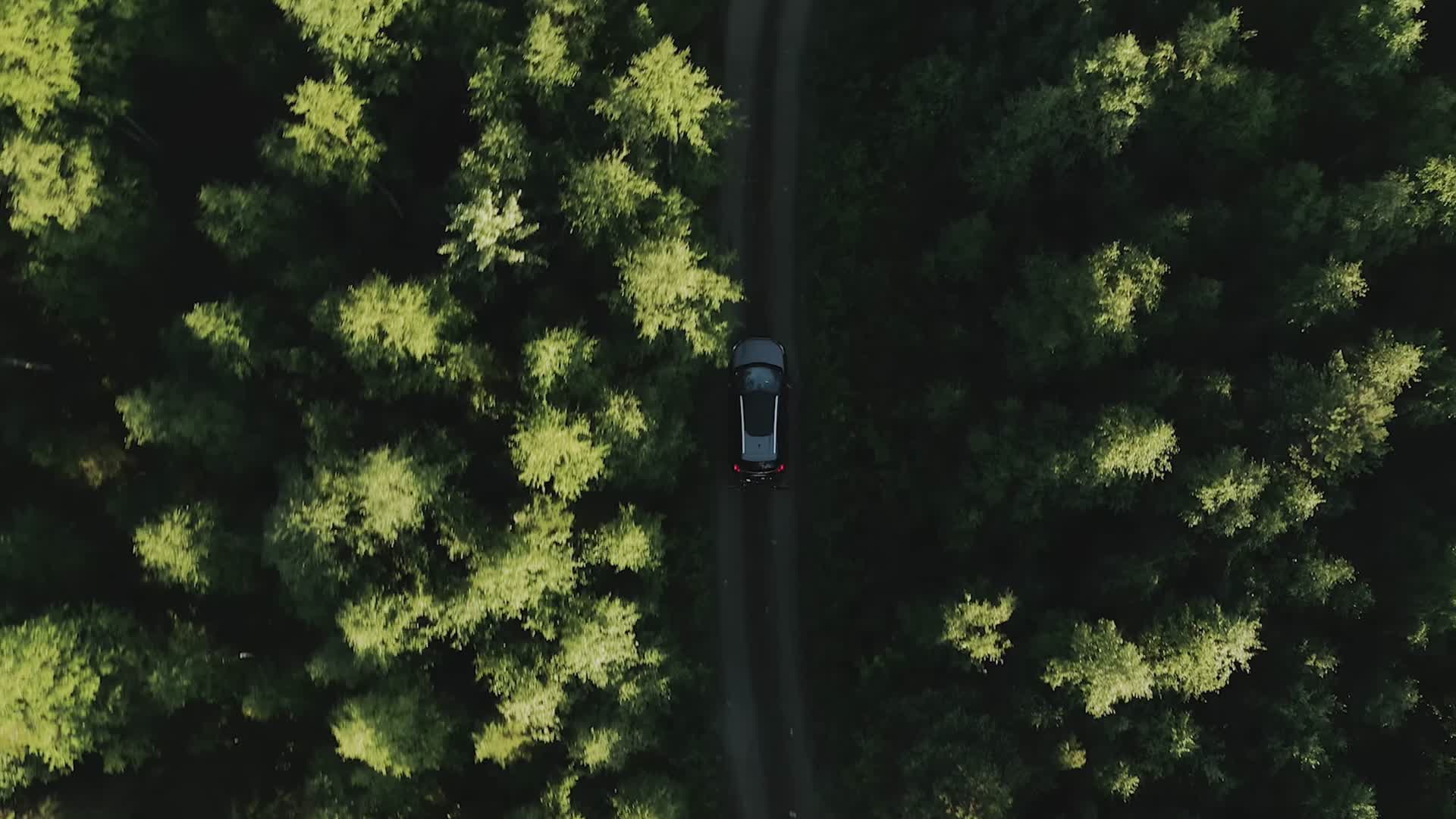 汽车在森林公路上行驶航拍视频的预览图